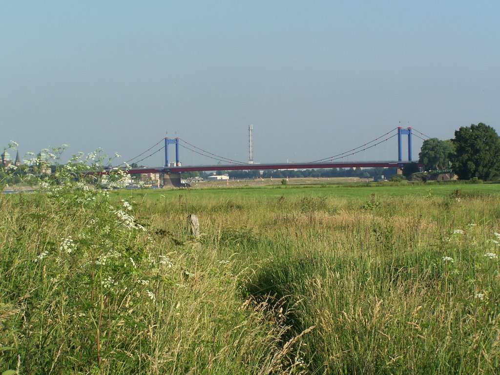 Rheinwiesen in Duisburg-Homberg by grisu1957