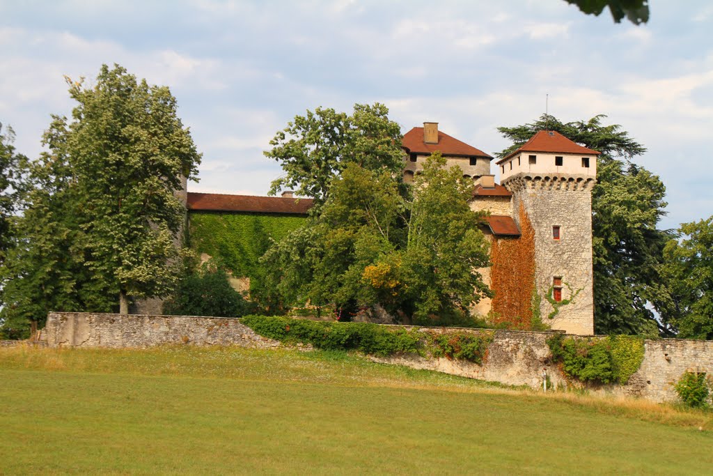 Détails du chateau by Ludo M