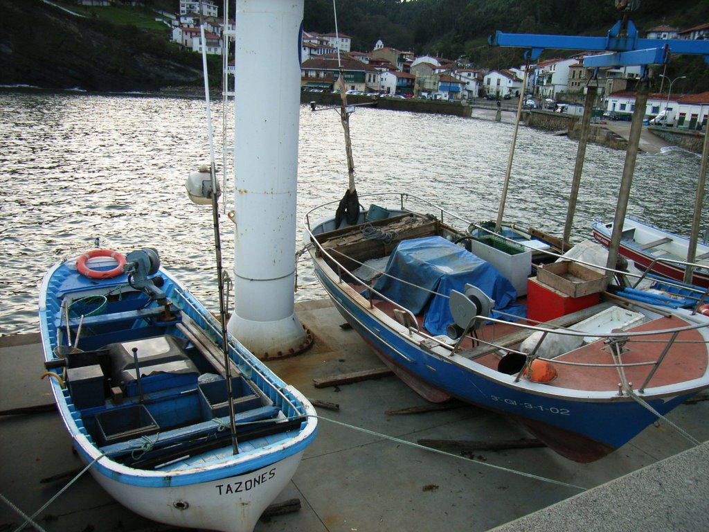 ASTURIAS TAZONES by joseba andoni