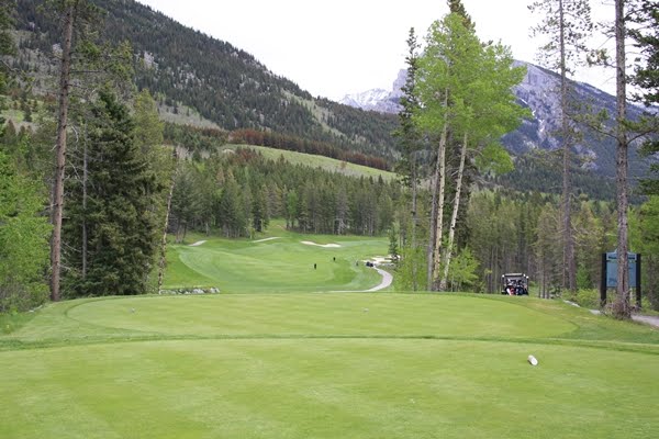 Tenth Tee Silvertip Golf Course by Steeple