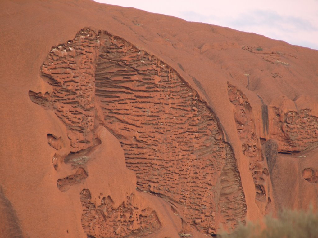 Uluru-Ayers Rock by pilpil