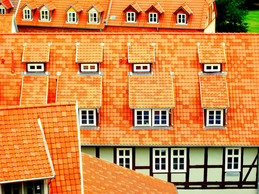 City rooftops ,Quedlinburg, Deutschland by Boris_2105