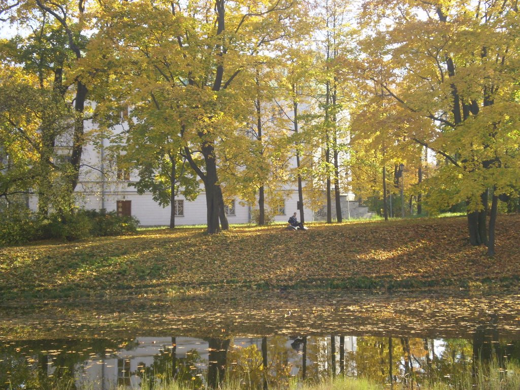 Pushkin, Saint Petersburg, Russia by Svetlana Ivanets