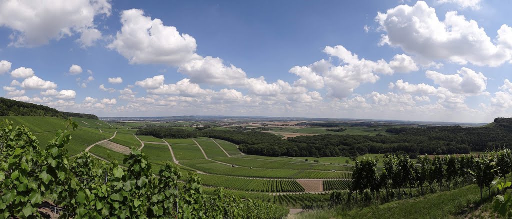 Heuchelberg Panorama by matthiashn