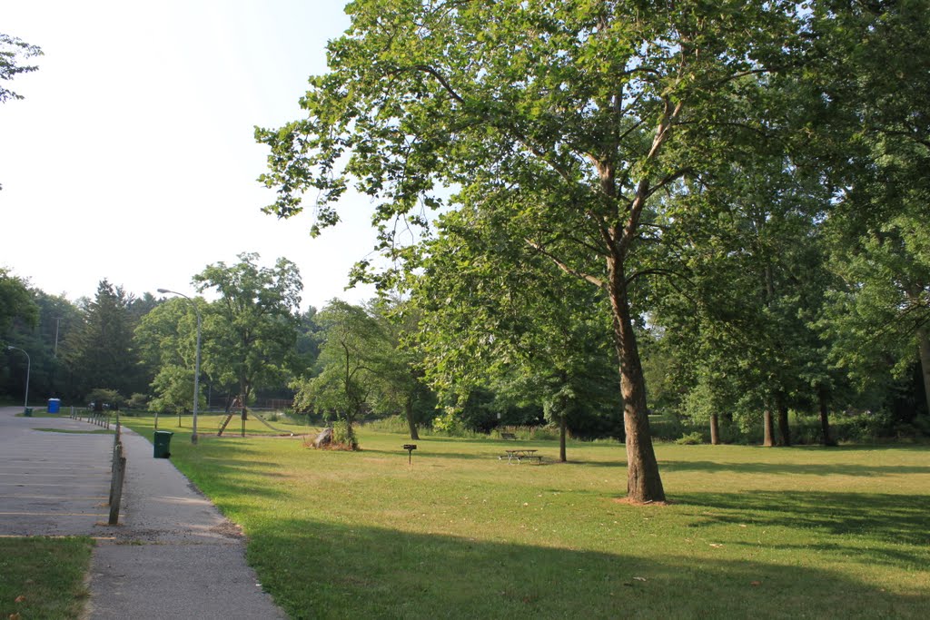 Curtiss Park, Saline, Michigan by Dwight Burdette