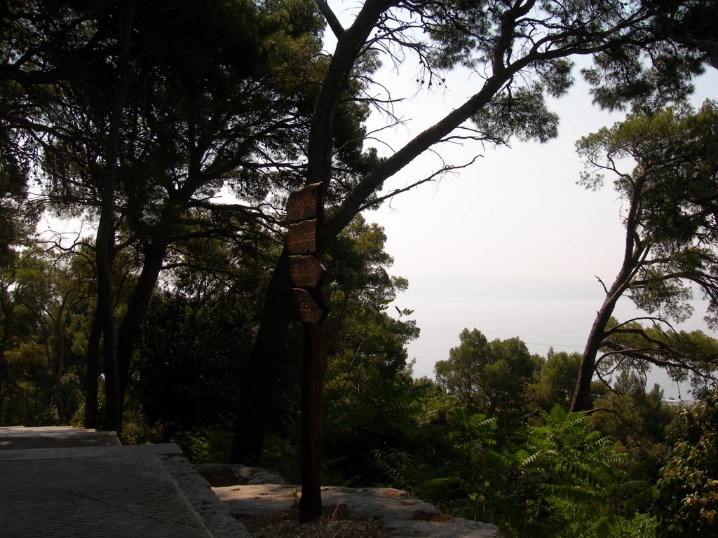 Near the Zoo on the Marjan Hill, Split by janiylinampa