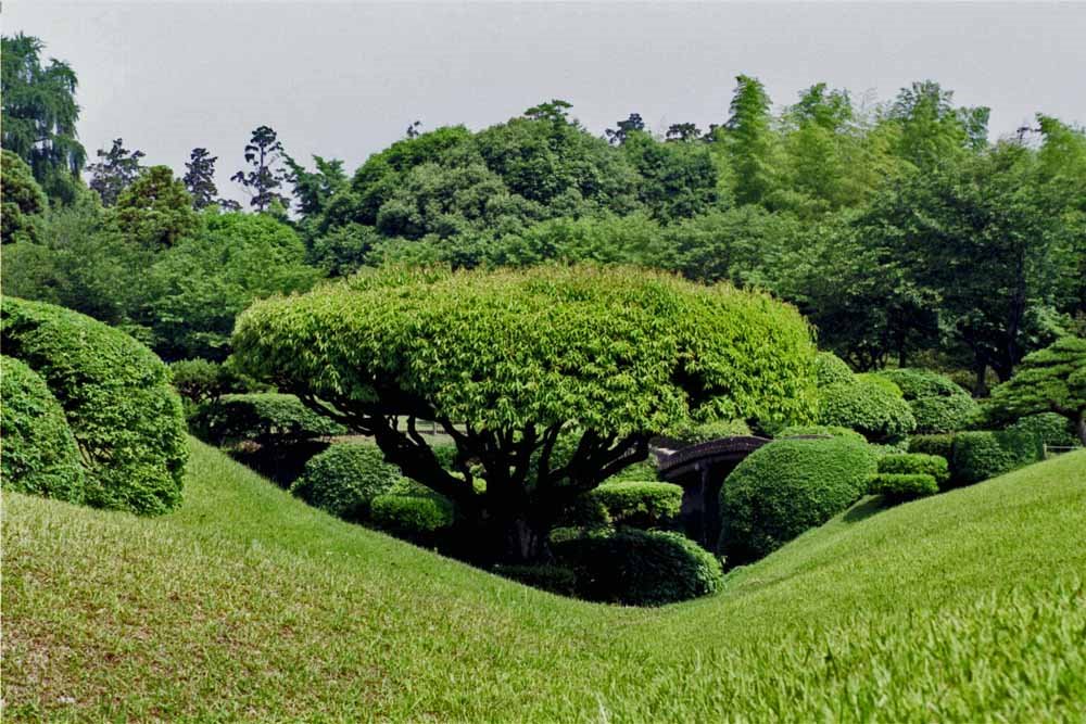 Kumamoto - garden Suizenji 水前寺公園 http://en.wikipedia.org/wiki/Kumamoto by 工藤マイケル