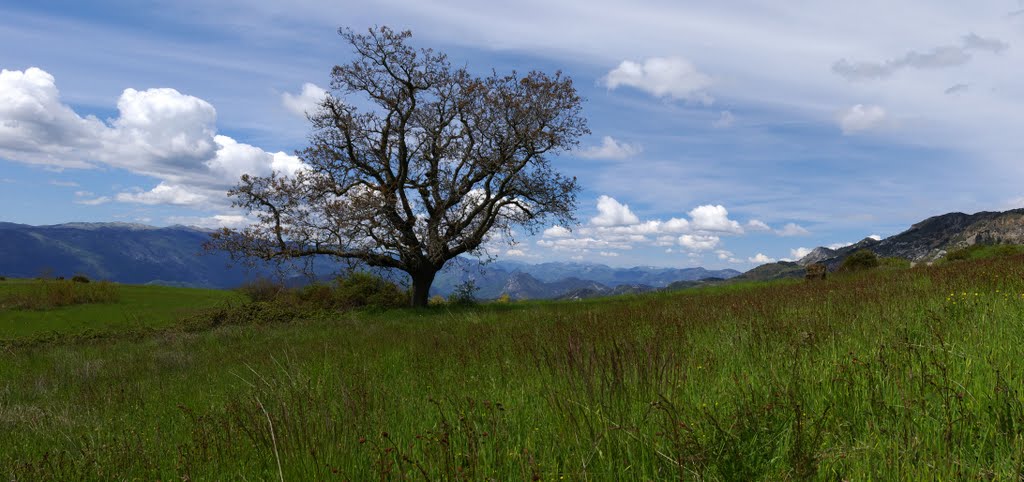 Sur la route du Mont Vial by Patrick Moretti