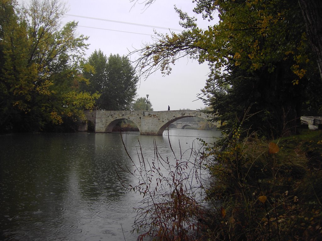 "Puenecillas" Rio Carrión - Palencia by ©-Miguel A. Rodríguez Terán