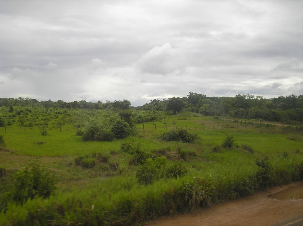 Roraima-Brasil-Camí de Manaus creuant l'Amazonia. by Jordi Font Bayó