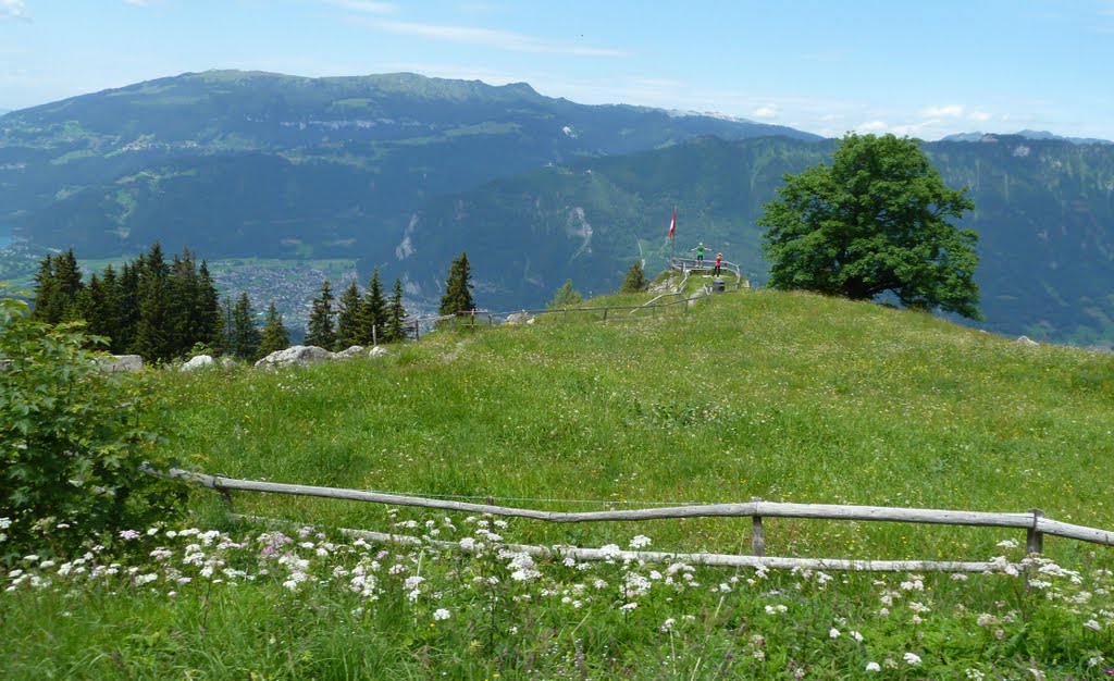 SchynigePlatte Talfahrt T2011-06-21_1P_125 © http://www.fahidi.eu by Béla Fahidi