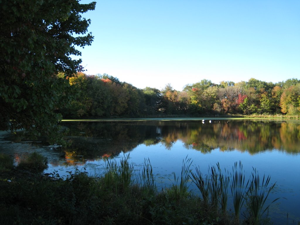 The Lake by Demi Pita