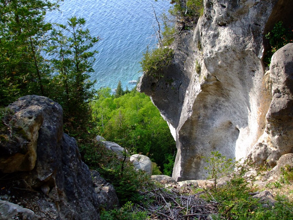 On the bruce trail at lions head by robin heider