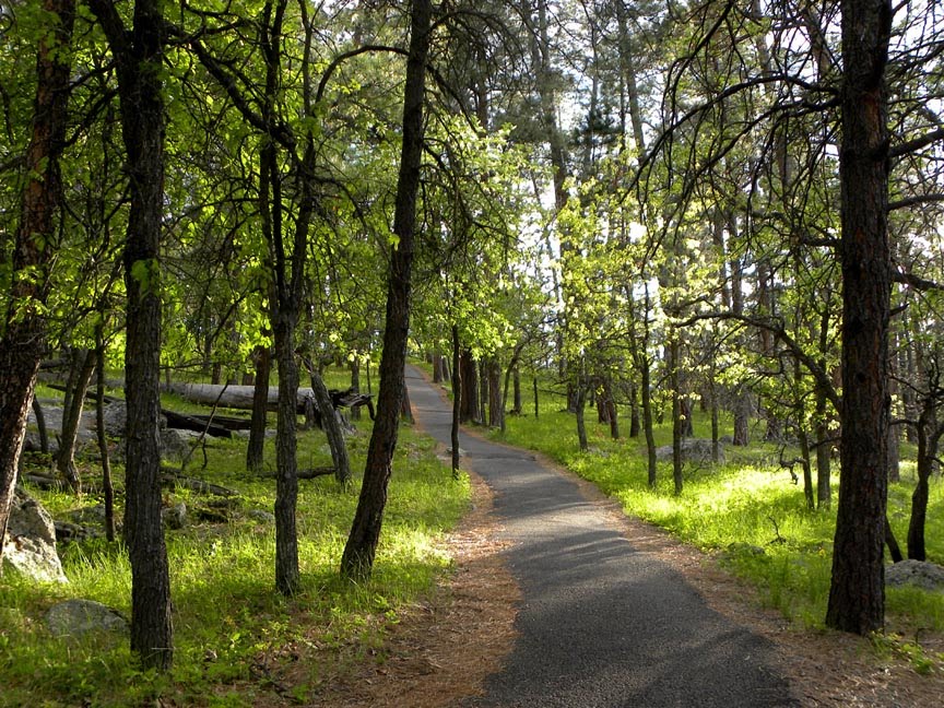 Trail at Devil's Tower by Todd Stahlecker