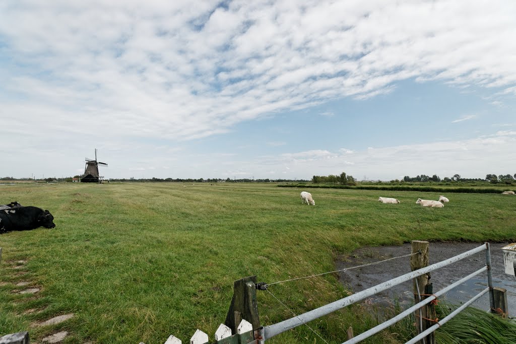 Westzaan - Relkepad - View ESE towards Pelmolen 'Het Prinsenhof' 1722 by txllxt