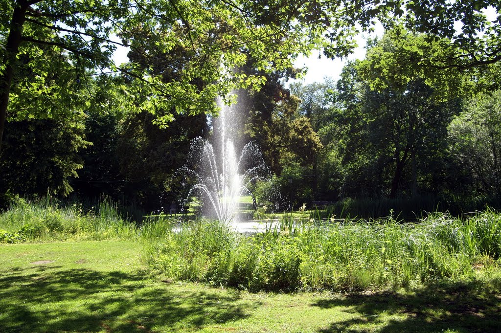 Ein Ort der Erholung, Kurpark Bad Salzhausen by Peter W. Ehl