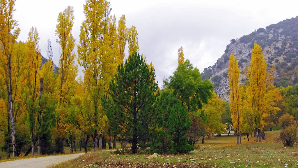 CAÑADA DE LAS FUENTES EN OTOÑO by Ricardo SM