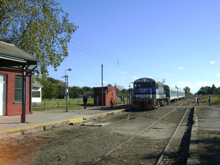 Tren llegando a la estación by El Viajeroh