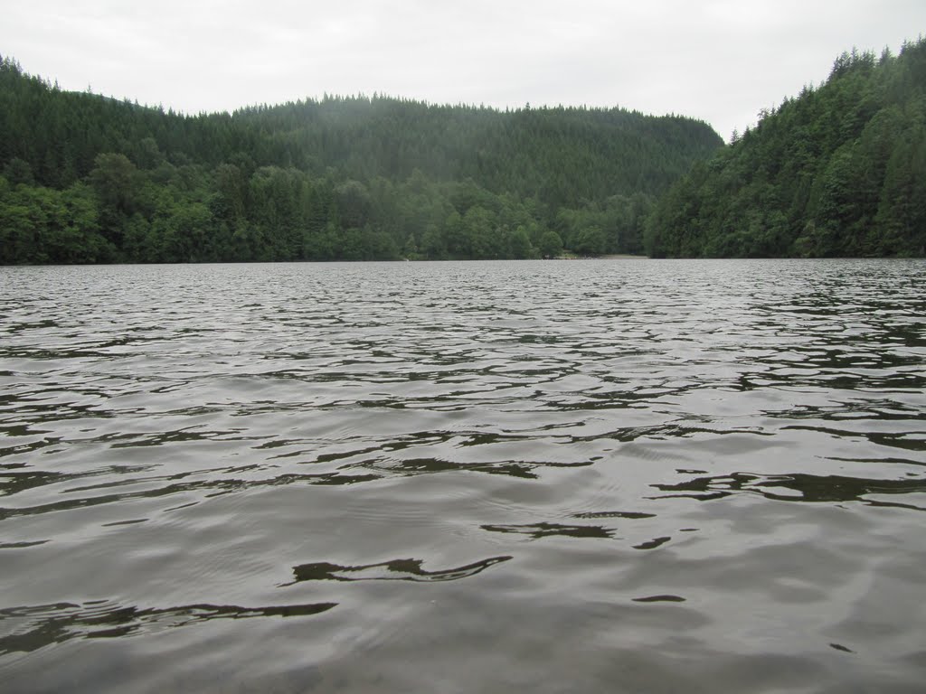 Tranquil, Textured Ripples On Alice Lake Near Squamish BC North of Vancouver Jul '11 by David Cure-Hryciuk