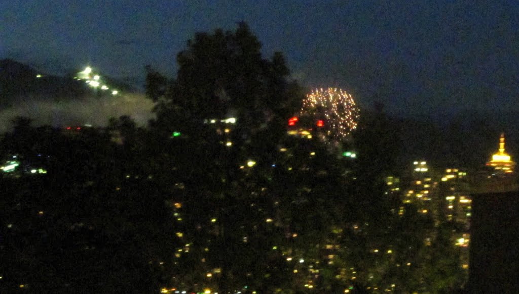 Fireworks Over The Skyscrapers Of Downtown Vancouver At Night On Canada Day 2011 by David Cure-Hryciuk