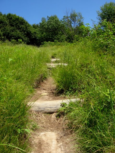 Appalachian Trail by Eric Rogers - Greenville, SC