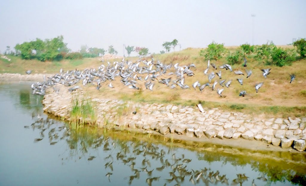 Swarna Jayanti Park, Rohini by Kaushal K Seth