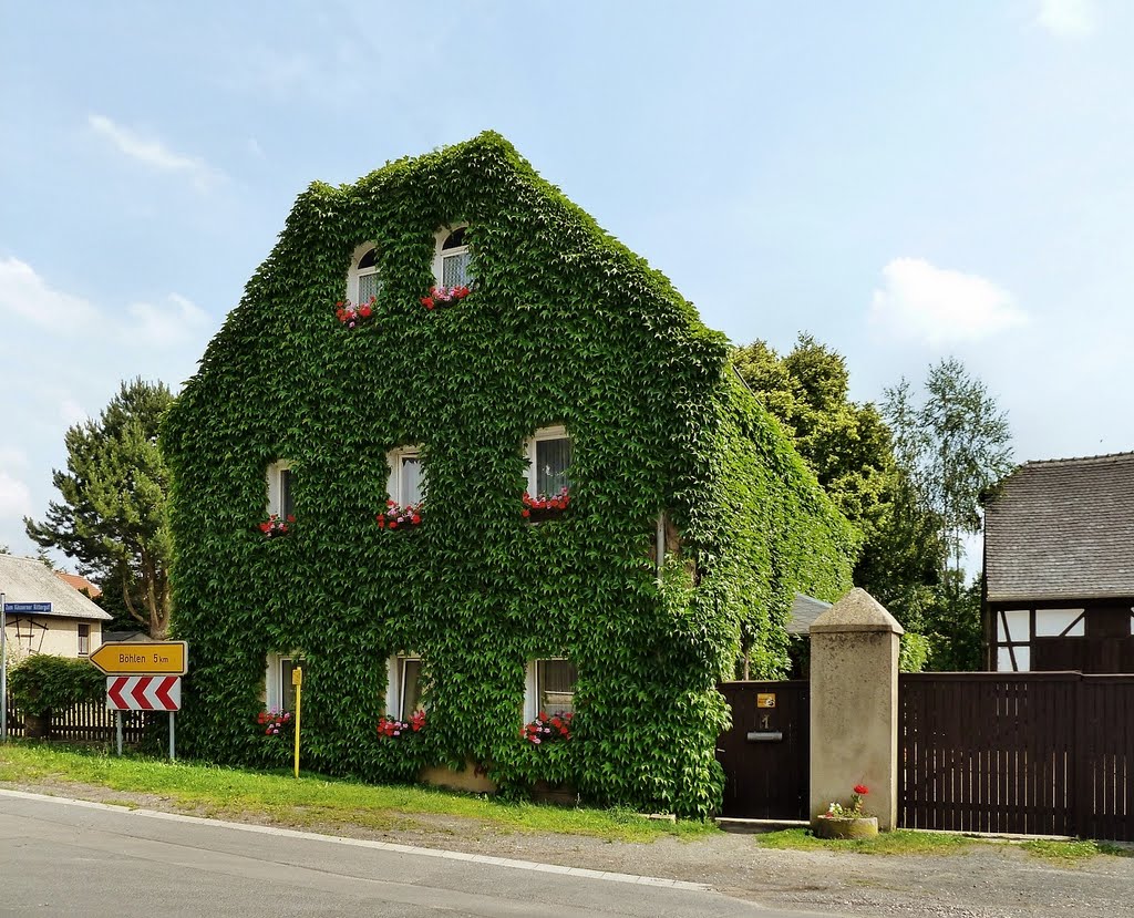 "Eveu-Haus", Kössern by matmicpic