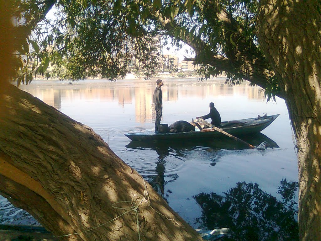 رحلة صيد في نيل ميت غمر(Fishing) by Mamdouh Shafik