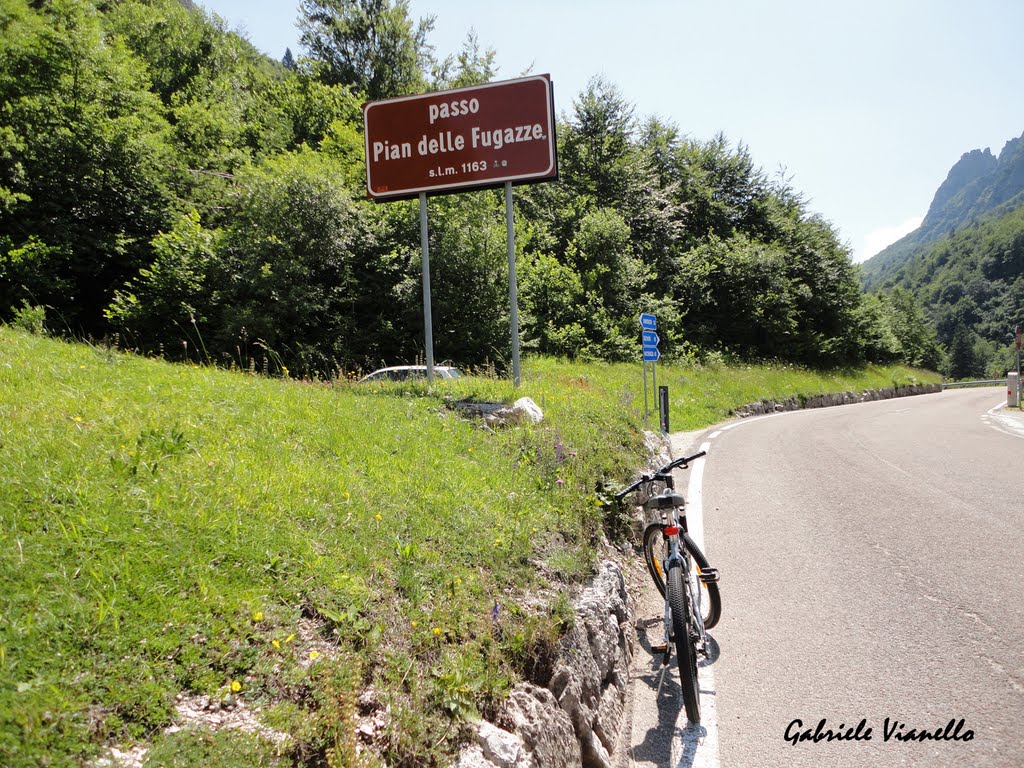 Passo Pian delle Fugazze (2) by Gabriele Vianello