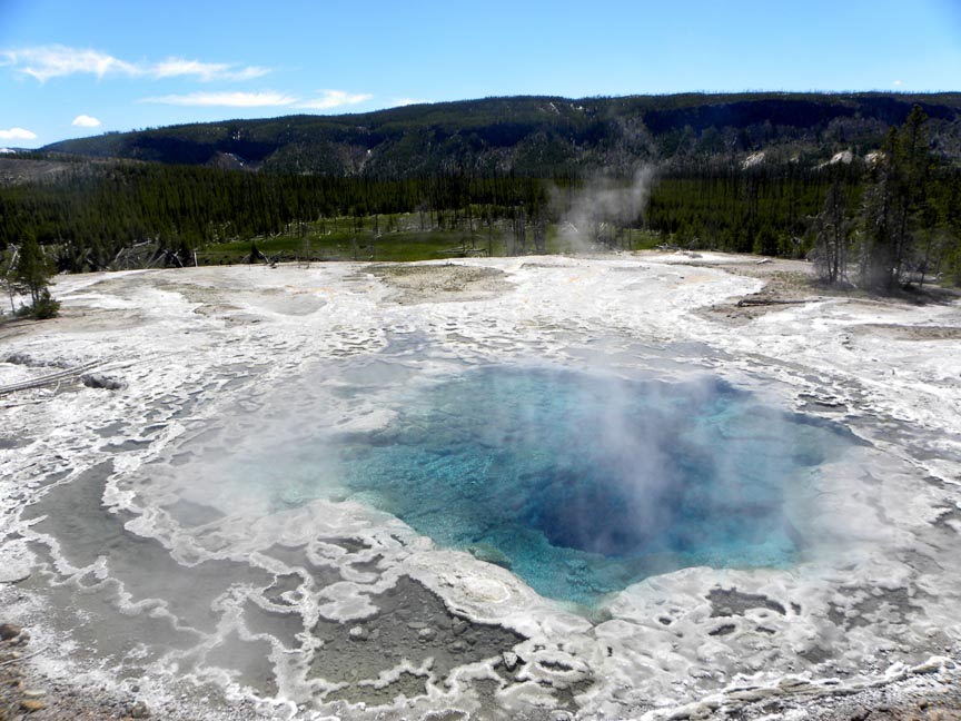 Artemisia Geyser by Todd Stahlecker