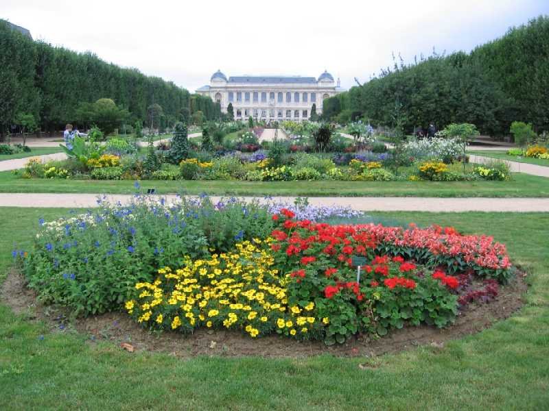 Le jardin des Plantes by Stephan Guilloux