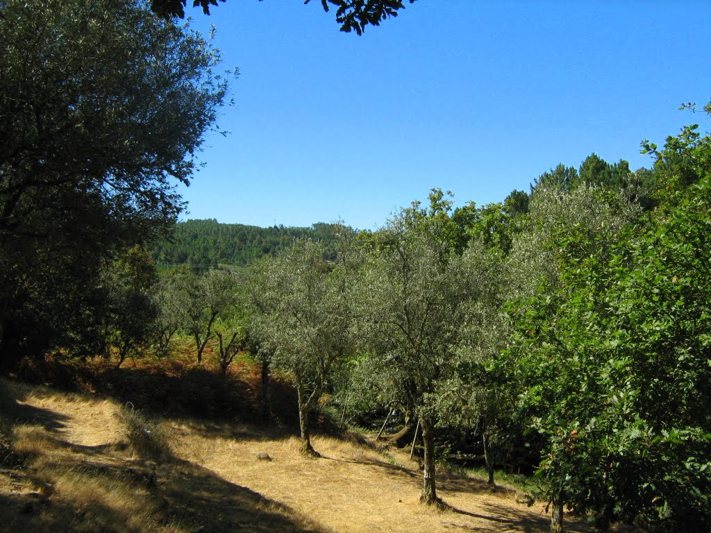 Praia Fluvial Poço de Corga by CidonioRinaldi