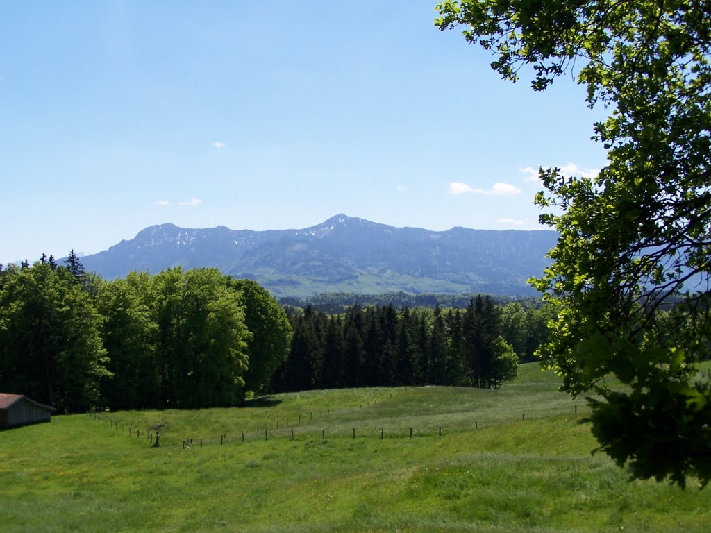 Blick zum Herzogstand, Heimgarten by dietmarproske