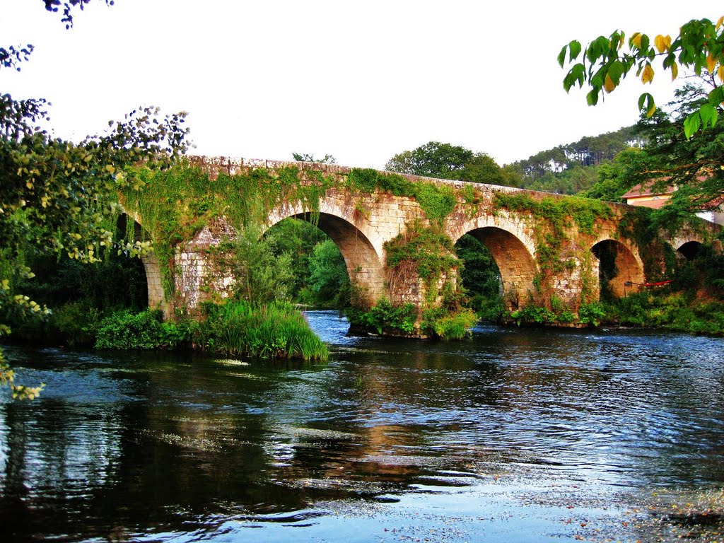 A Ponte Ledesma - (Boqueixón) by fotocolocador