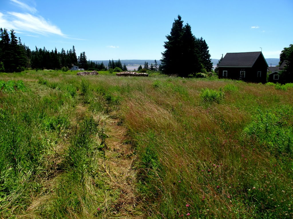 View of the trail on your way out by Wallace Howe