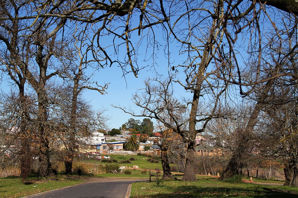 The road to Mamre Moravian Mission by Daan Prinsloo