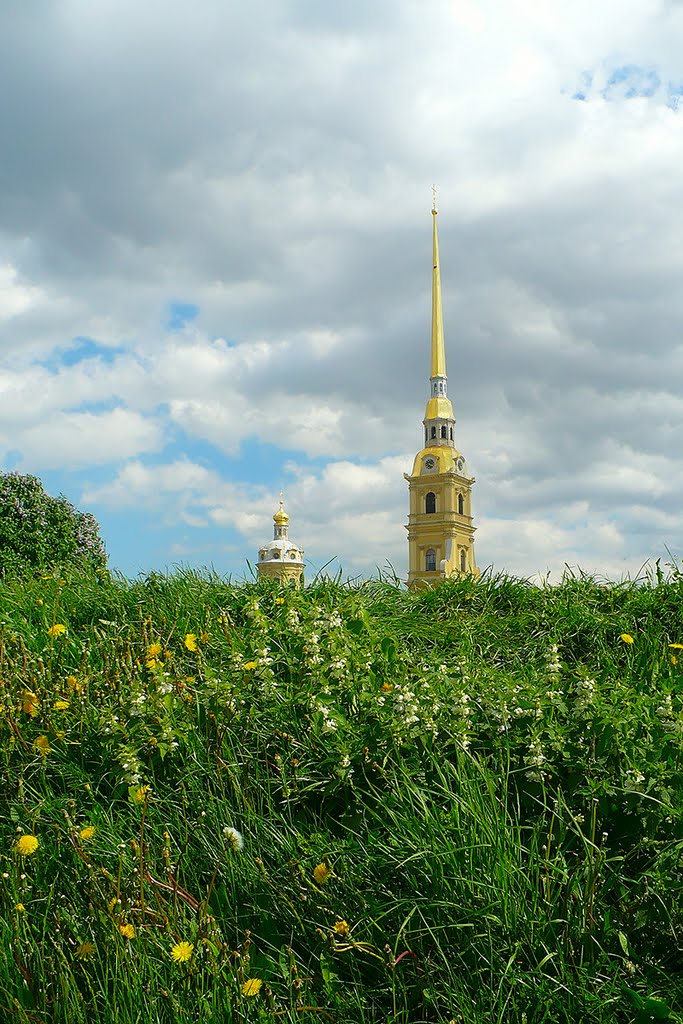 Peter and Paul Fortress / Санкт-Петербург, Петропавловская крепость, вид с Кронверкского пролива by © Kostia Smirnov