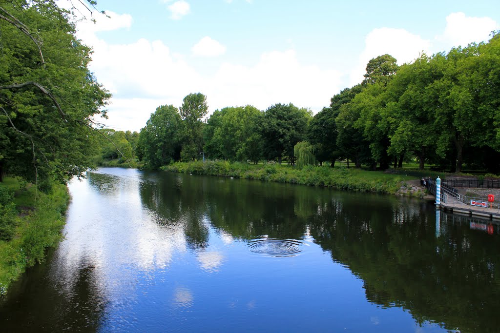 Cardiff, Bute Park by totovadacca