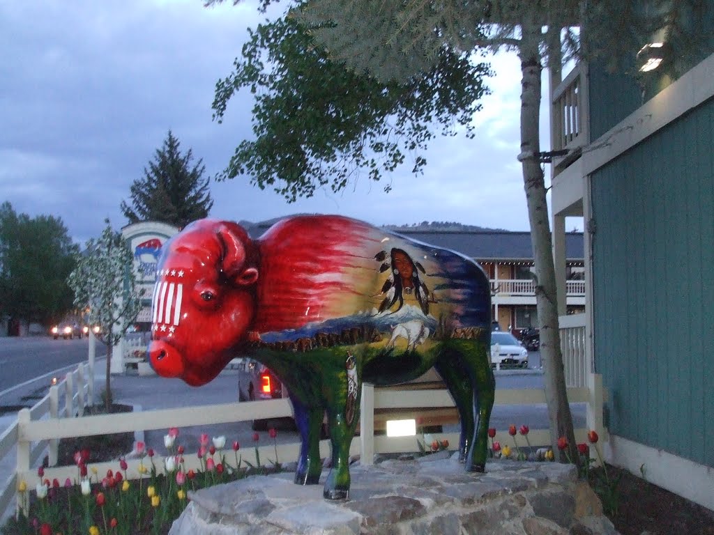 Jackson (Hole), Wyoming, 17. Juni 2011 abends by Wolfgang Hanko