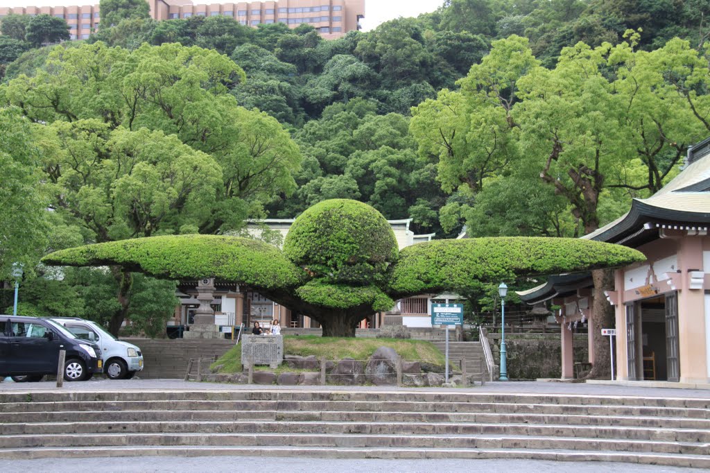 照国神社 斉鶴 2011/06/26 by mr.matsu