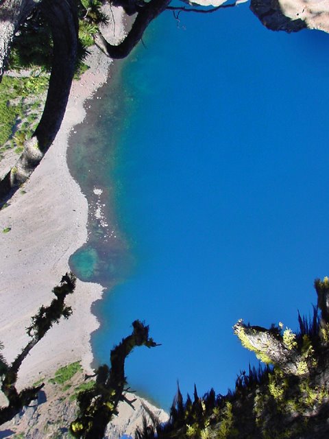 Looking straight down at Crater Lake's edge by VKeith