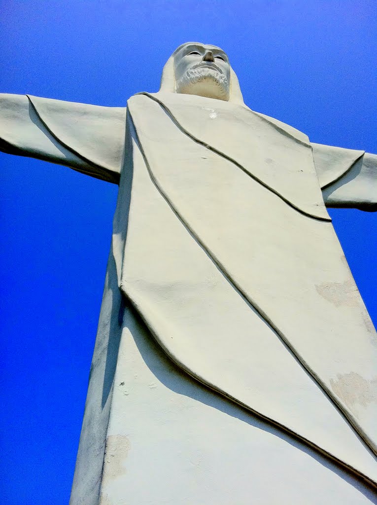 Christ of the Ozarks by Brooks Family