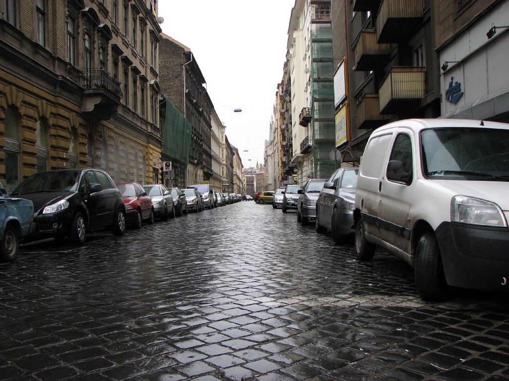 мостовая после дождя / Roadway after a rain by Dmitriy Vitte