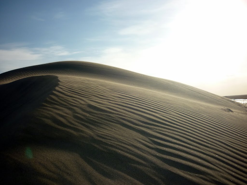 Desembocadura del Río Negro - Dunas by el patagonico