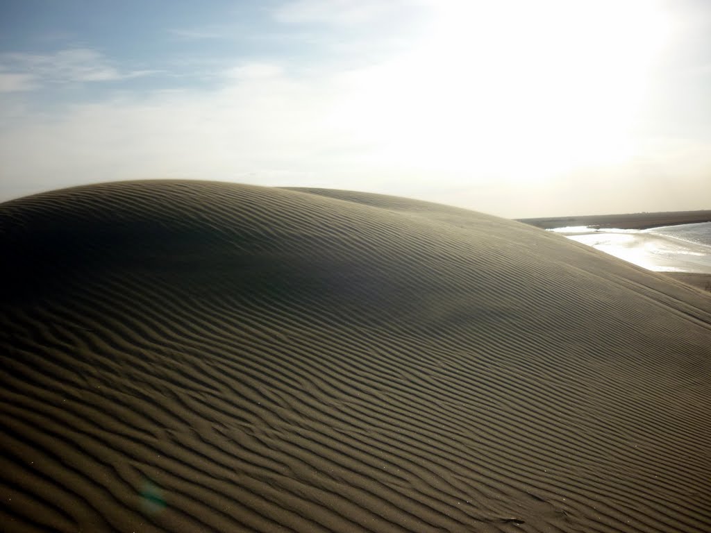 Desembocadura del Río Negro -Dunas by el patagonico