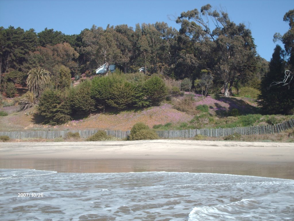 Sector Playa caucau vista desde el mar by rbascu