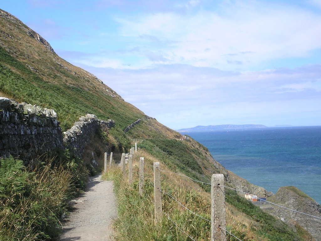 Ballynamuddagh, Co. Wicklow, Ireland by Magdalena Stepien