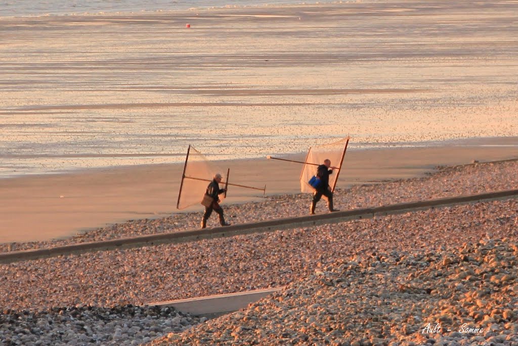 Ault, retour de pêche à la crevette (Somme) by lorcas