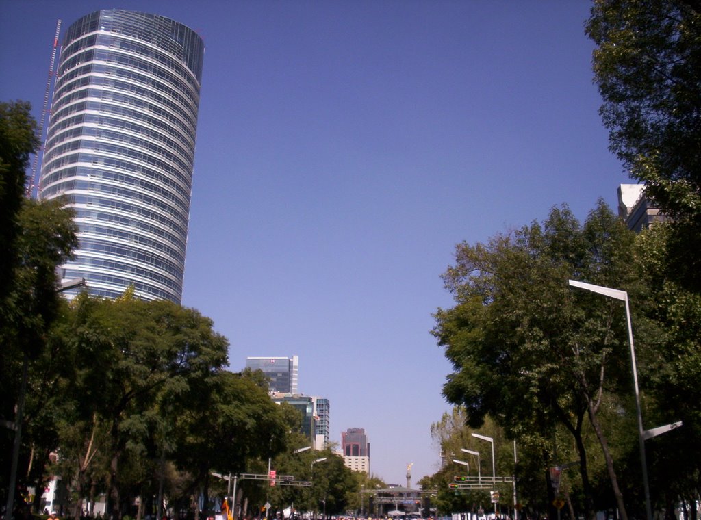 Paseo de la Reforma by Carlos Cruz C