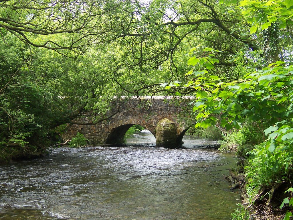 Afon Anghof, Sealyham Woods, Wolfscastle by mparry